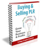 Buying & Selling PLR Newsletter