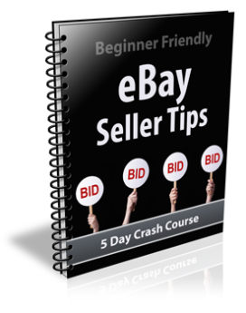 Ebay Seller Tips PLR Newsletter