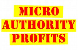 Micro Authority Profits - RR