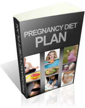 Pregnancy Diet Plan – PLR