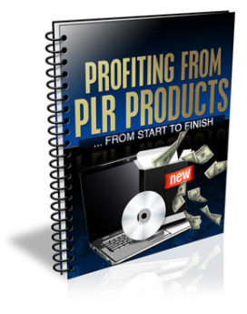 profiting from plr products
