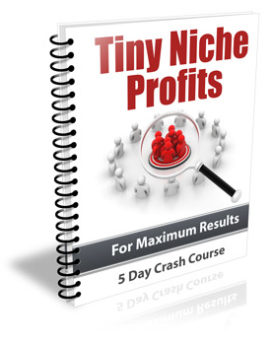 Tiny Niche Profits PLR Newsletter