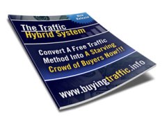 The Traffic Hybrid System