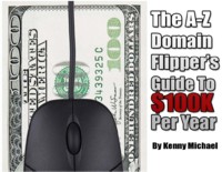 domain flipper guide