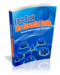 facebook the essential guide
