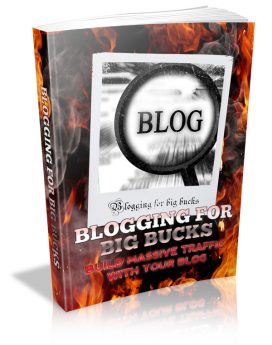 blogging for big bucks