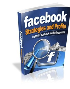 Facebook Strategies And Profits