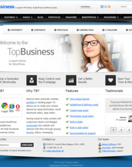 Wordpress Premium Business Themev4