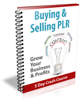 Buying & Selling PLR Newsletter
