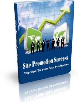 Site Promotion Success