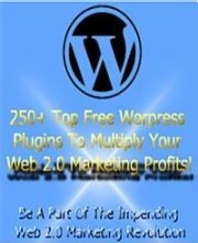 250 WordPress Plugins - Santa Deal Time 08