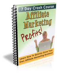 affiliate marketing profits -